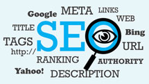 Search Engine Optimization (SEO) Courses in Delhi Search Engine Optimization (SEO) Courses in Delhi